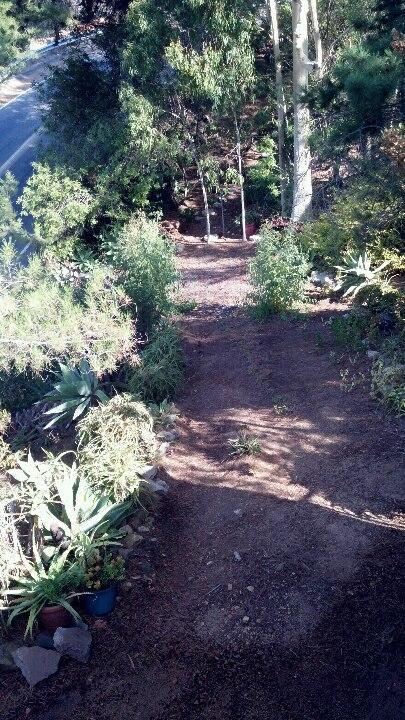 Rainbow Guest House Fallbrook Exterior foto